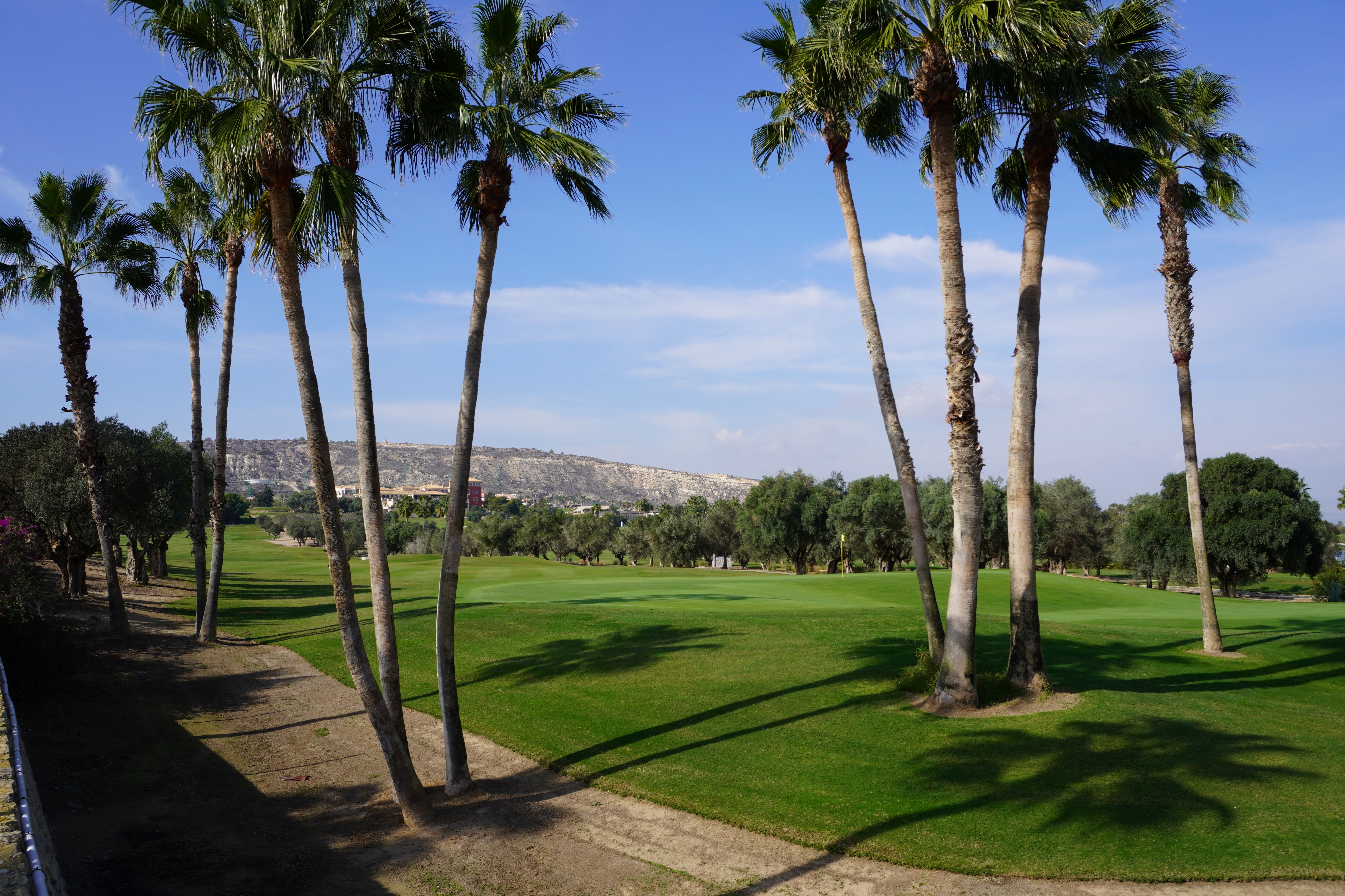 Chalet/Villa en venta en Algorfa