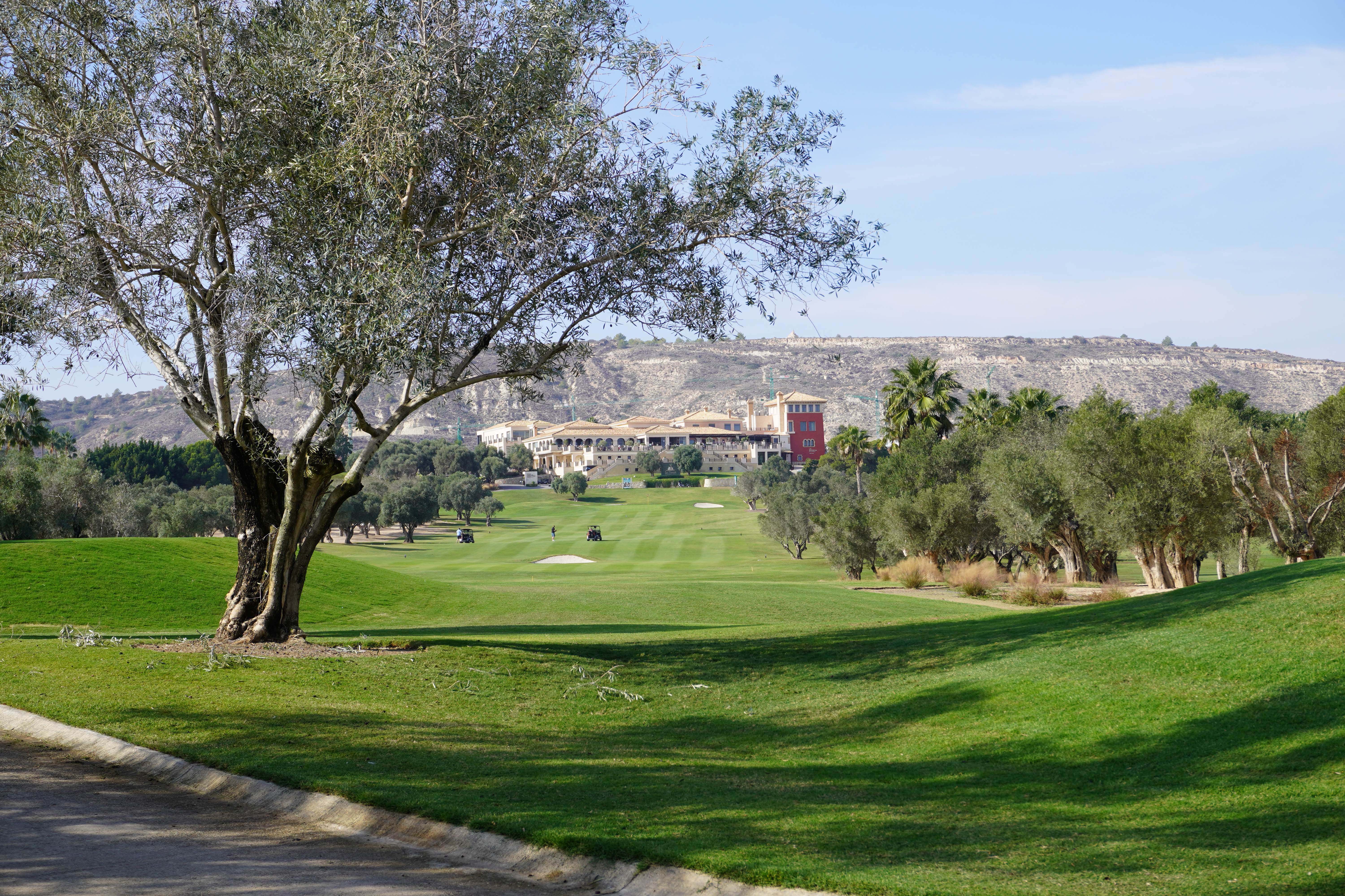 Chalet/Villa en venta en Algorfa